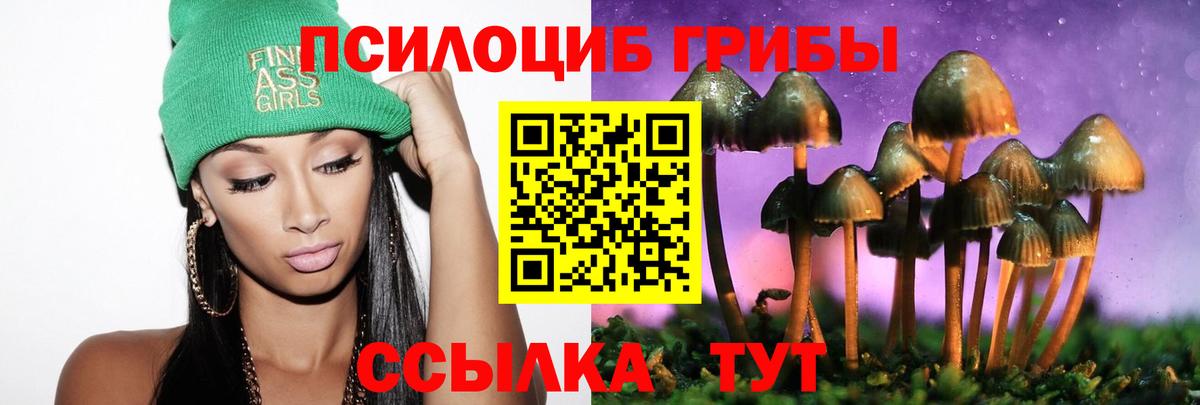 Псилоцибиновые грибы Psilocybine cubensis  Вход с VPN  Петропавловск-Камчатский 